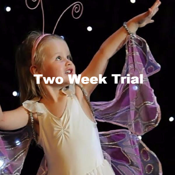 Level 2 Ballet SUMMER 2025 - Trial